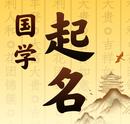 怀化国学起名 人工起名一对一